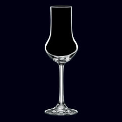 Buy Online Nachtmann Vivendi Spirit Glass at House of Rumi