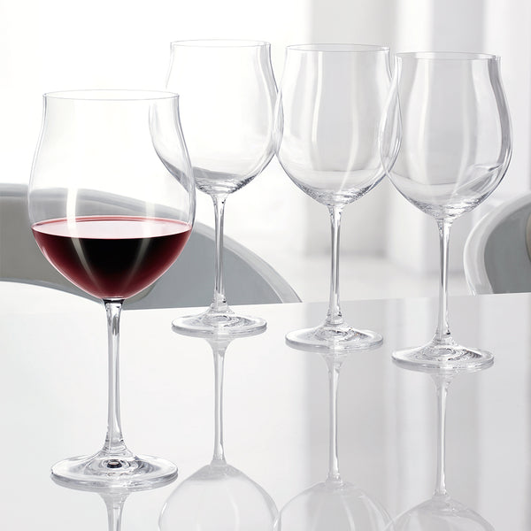 Nachtmann Vivendi Pinot Noir wine glass set/4