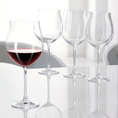 Buy Online Nachtmann Vivendi Pinot Noir wine glass set 4 at House of Rumi